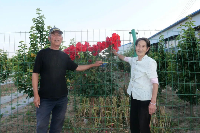 从仓库的后门走出去，是徐伟父母的世界，也是电商村大多数老年人的世界。