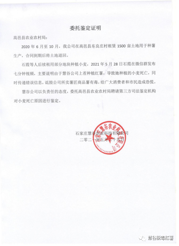慧谷公司官微称已委托高邑县农业农村局聘请第三方司法鉴定机构对小麦死亡原因进行鉴定&nbsp; 慧谷公司官方微信公号 图