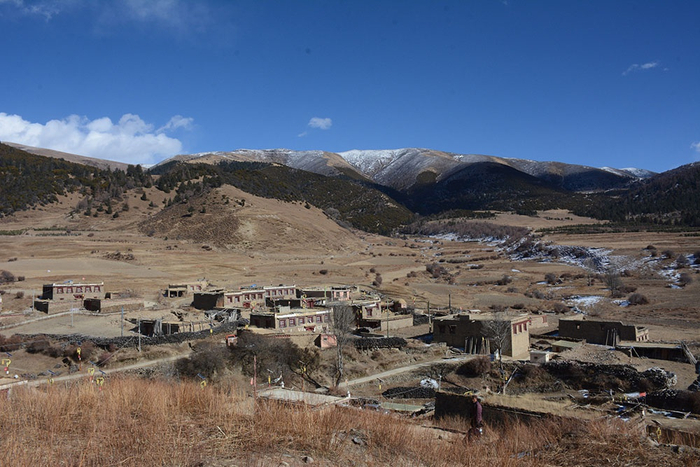 理塘县木拉镇，草场和森林环绕着的居民区。澎湃新闻记者 胥辉 图