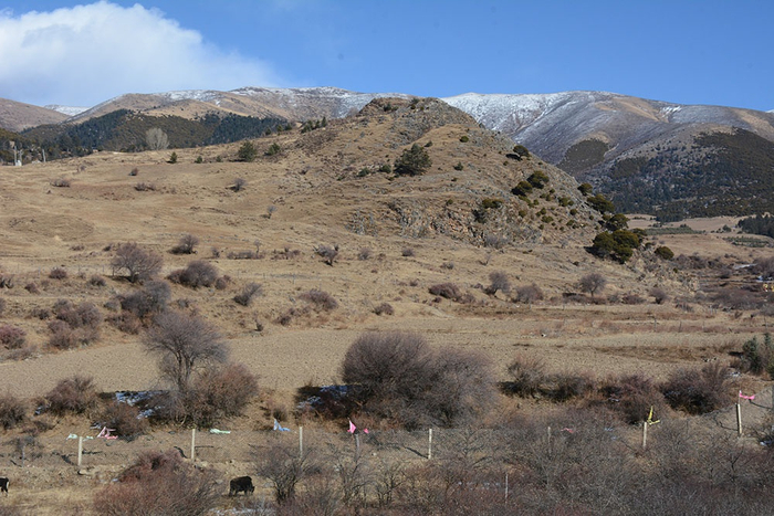 村子周围的铁丝网围栏主要就是防范野猪和黑熊。澎湃新闻记者 胥辉 图
