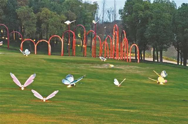 花飞蝶舞 罗文彬 摄