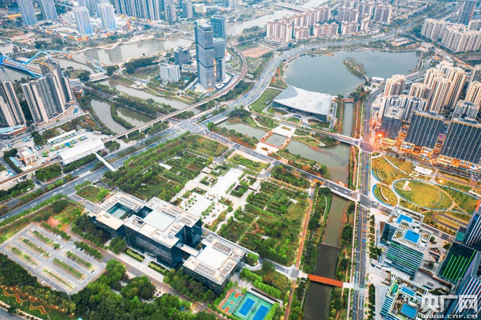 南沙自贸区繁荣景象。（央广网发）