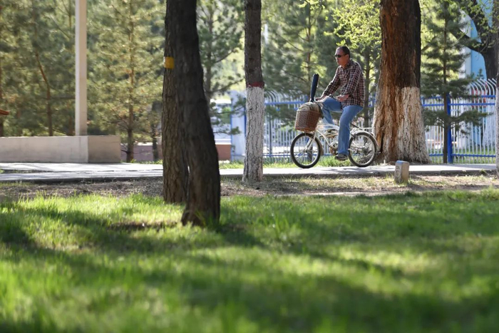 立夏时节，市民在呼和浩特市北郊公园骑车。新华社发（贝赫摄）