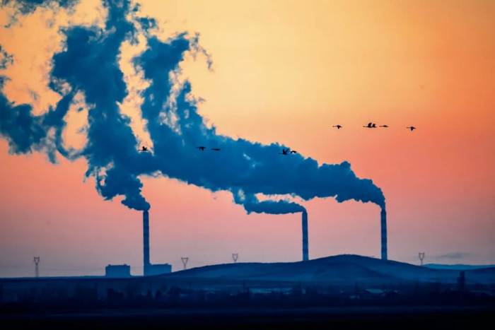 迁徙的雁群飞过夕阳下的天空，巨大的烟囱喷出滚滚烟尘。徐永春 / 摄