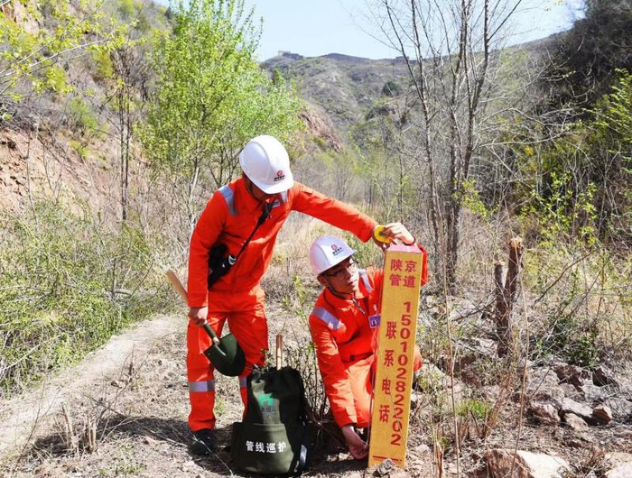 巡线过程中，北京输油气分公司的员工发现加密桩有歪斜情况，及时进行扶正纠偏。