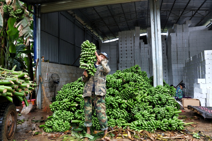 双定镇武陵村水泥路口的包装仓库，已成为村里的经济中心（安舜 摄）