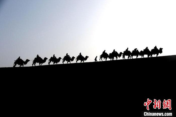图为5月3日，敦煌鸣沙山月牙泉景区驼队。　张晓亮 摄