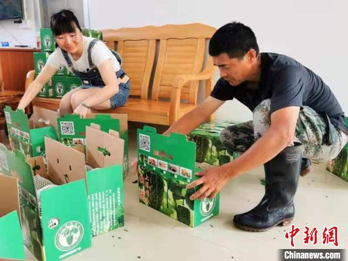 上巷村凉瓜专业合作社的工作人员在忙着装箱和安排发货 李晓春 摄
