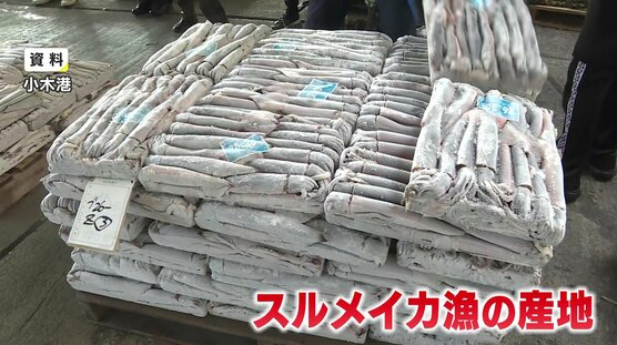 能登町小木港 日本著名的鱿鱼产地 （图自富士电视台）