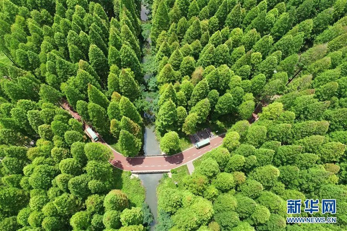 ▲新华社发