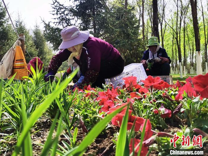 图为工作人员补植花卉。　张添福 摄