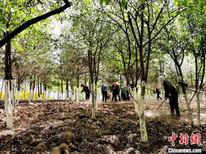 图为工作人员在园内工作。　张添福 摄