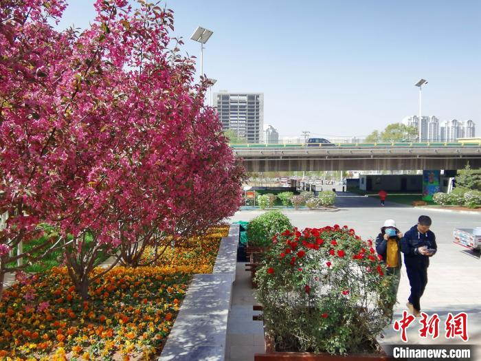 图为游客在北山美丽园入口处。　张添福 摄