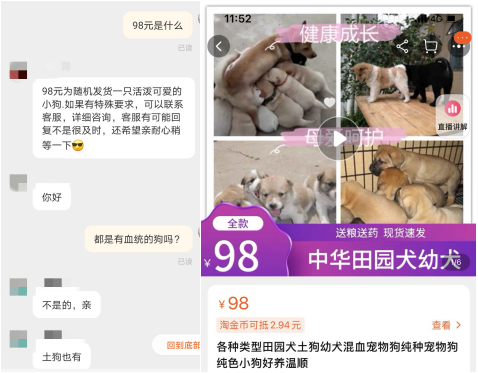 　　（图片由受访者提供）