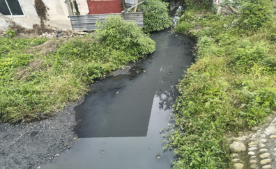 ▲新都区柏水河中河水体发黑浑浊