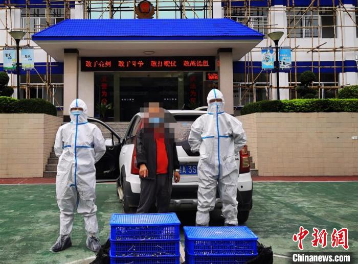 图为犯罪嫌疑人指认涉案八哥 李阿柱 摄