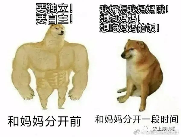 “一组关于妈妈的梗图....”呜呜呜真的太好哭了!|哭了|母亲节|哈根_新浪新闻