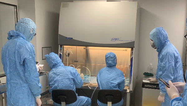 图说：GMP实验室中完成胰岛细胞分离