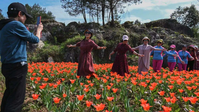 游客在来凤县翔凤镇檀木湾村郁金香基地游玩拍照 杜玉婷 摄