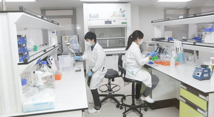 暹罗生物科技公司的研究人员在曼谷的实验室工作 图自：《曼谷邮报》