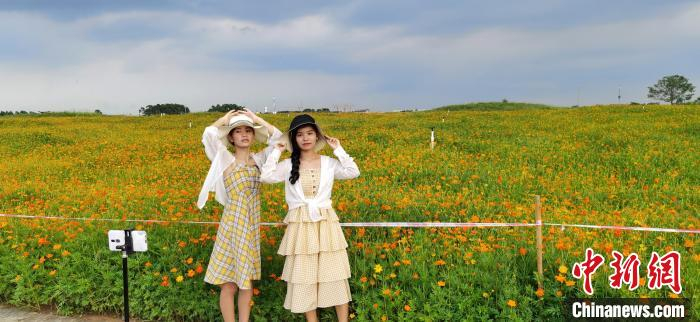 图为合浦四方岭考古遗址景区内百花盛开，吸引游客打卡留念。　翟李强 摄