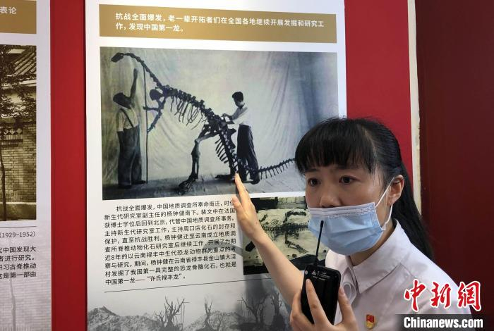 中科院“溯本源·守初心·传薪火”党员主题教育基地，工作人员介绍杨钟健发现的“中国第一龙”化石。　中新社记者 孙自法 摄