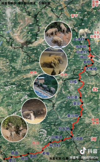 抖音网友小锋（抖音ID：916829834）制图