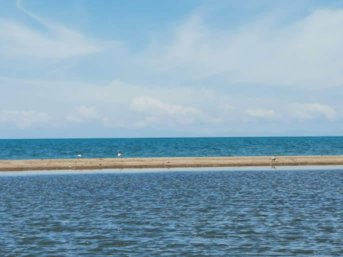 青海湖沙岛附近，已经禁止旅游活动。新京报记者 李玉坤 摄