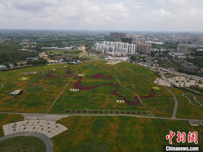 图为合浦四方岭考古遗址景区用花海绘制“海上丝路图”。　王伟臣 摄