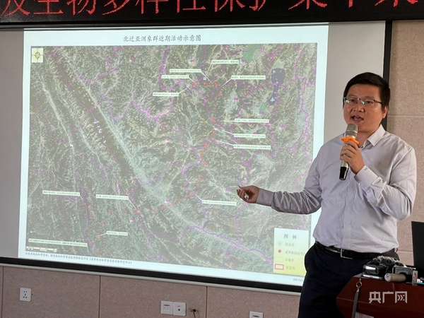 陈飞在发布会上介绍北迁象群迁徙路线（总台央广记者任梦岩 摄）