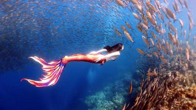 “ 人鱼”何灏浩