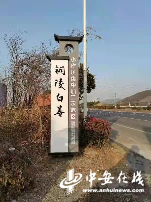 铜陵白姜小作坊集中加工示范区