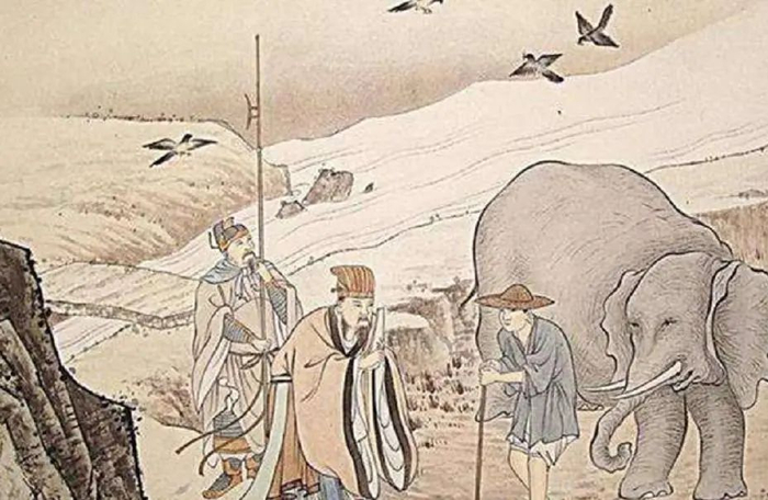 什么动物会穿梭大象迁徙,野猪冲撞,人类文明正在消亡-上海聚慕医疗器械有限公司