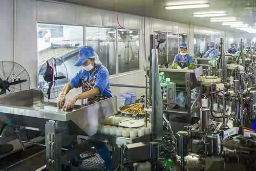 梁平区奇爽食品有限公司加工车间。邓志刚摄