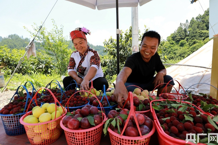 图为剑河县柳川镇镇江村村民在出售新鲜水果。（央广网发 杨家孟 摄）