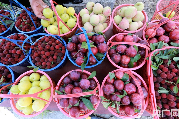 图为贵州省黔东南苗族侗族自治州剑河县镇江村种植的李子、杨梅、桃子等鲜果迎来上市旺季。（央广网发 杨家孟 摄） 