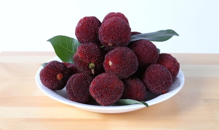 图片来源：央视新闻