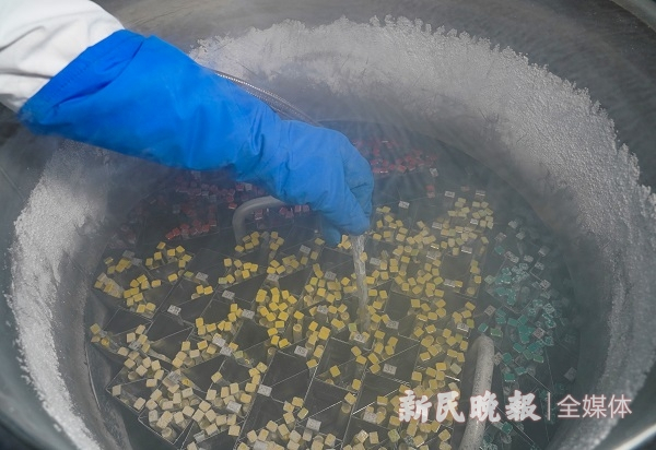 图说：捐精者捐出的合格精子放在液氮罐里