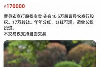 二手银行原始股能上闲鱼买?宝贝已被删除