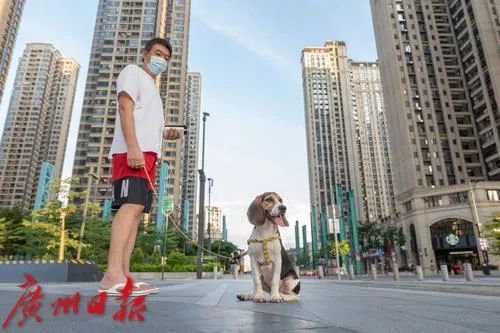 得知芳村片区调整分级分类防控措施后，广钢新城有居民出门下楼散步。图源广州日报