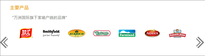 万洲国际官网截图