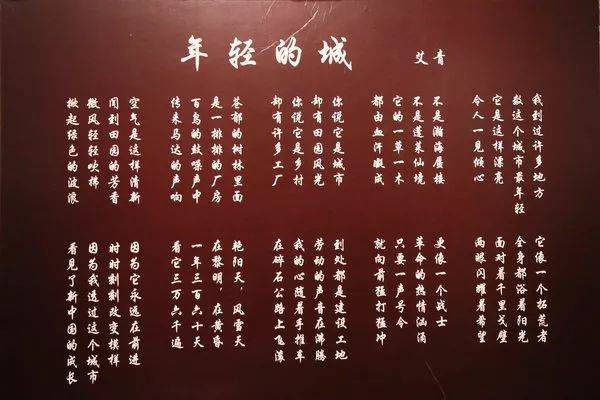 艾青所写的诗歌《年轻的城》