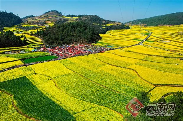 彝乡醉美开街季 供图