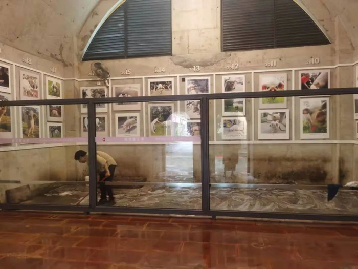  6月17日上午，猪坚强去世后，龚国成在打扫“猪坚强之家”。受访者供图