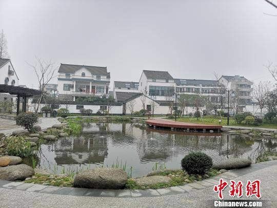 浙江农村一景 图自中新网 