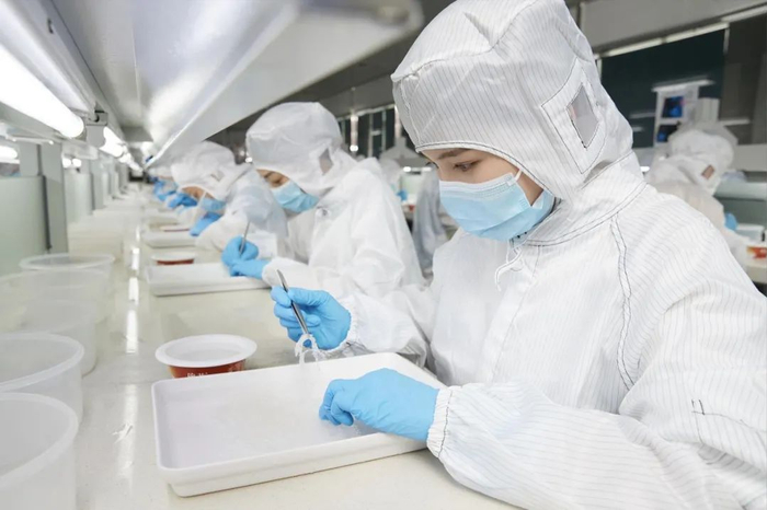 图：燕之屋挑毛车间