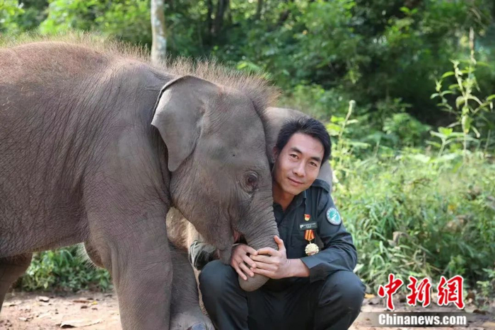 图为“象爸爸”熊朝永。亚洲象种源繁育及救助中心供图