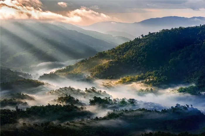西双版纳州委宣传部供图