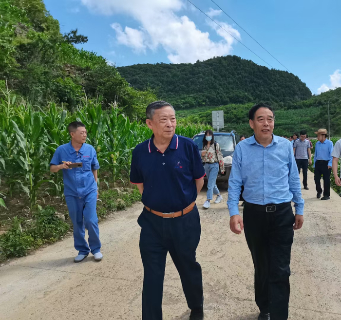 ▲遵义市（仁怀市）酒业协会执行副会长兼秘书长吕玉华（前左）与贵州国台农业科技发展有限公司总经理李斌（前右）实地考察国台农业红缨子高粱基地。
