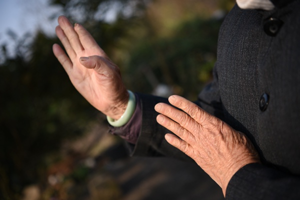 张荷仙老人展示掌法。